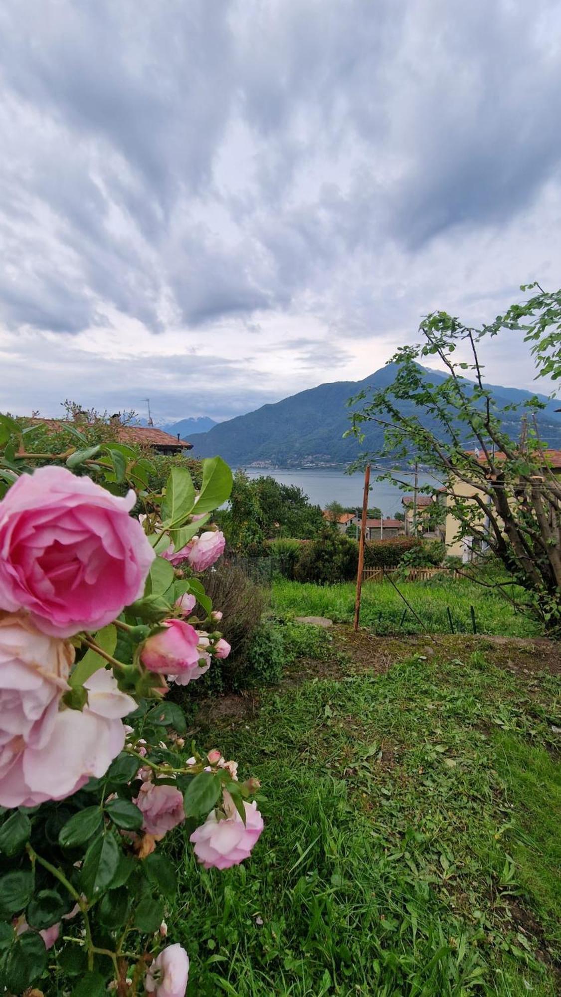 Villetta Con Giardino Privato Cremia Dış mekan fotoğraf